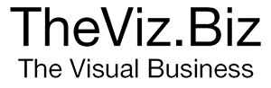 TheVizBiz